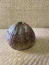 72 Kokosový ořech - nádoba